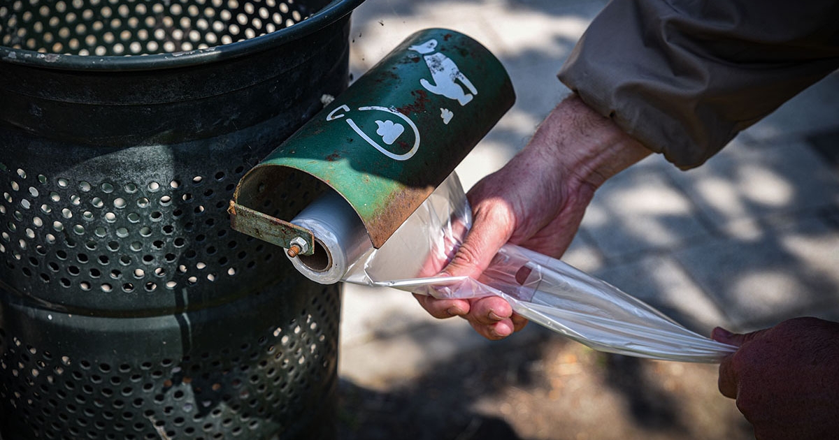 Kutyagumi-zacskók ebek harmincadján